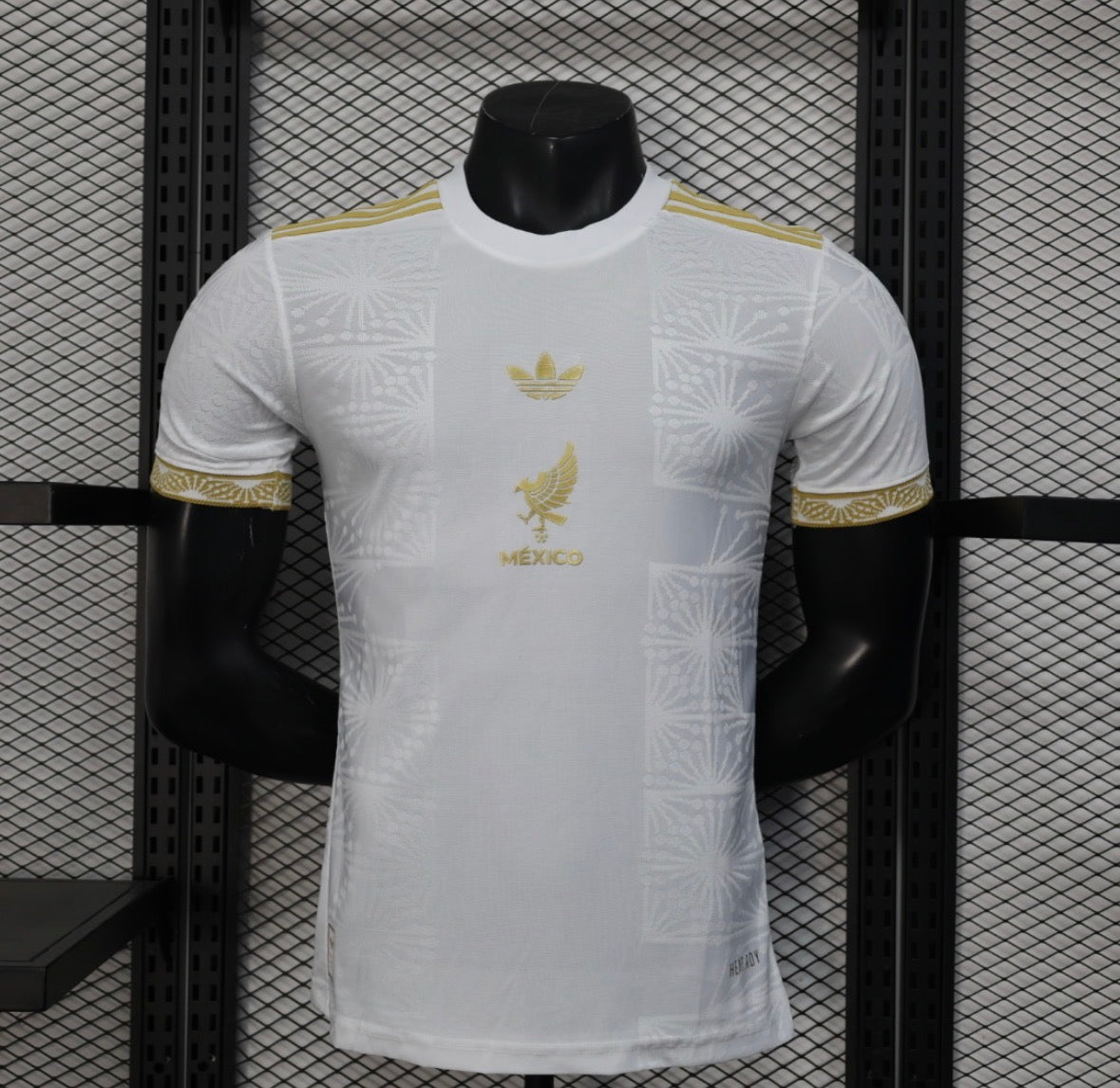 Mexico 2024/25 Home Concept Jersey